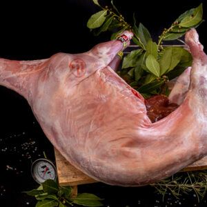 Xai lletó DO Navarra sencer o tallat